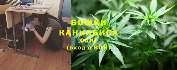первитин Соликамск