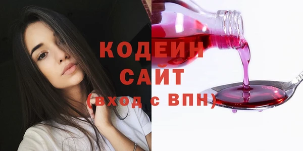 дживик Абаза